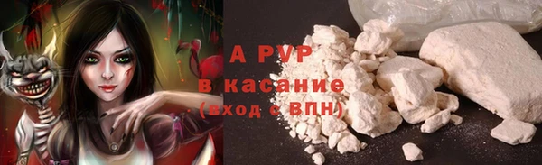 PSILOCYBIN Дмитров