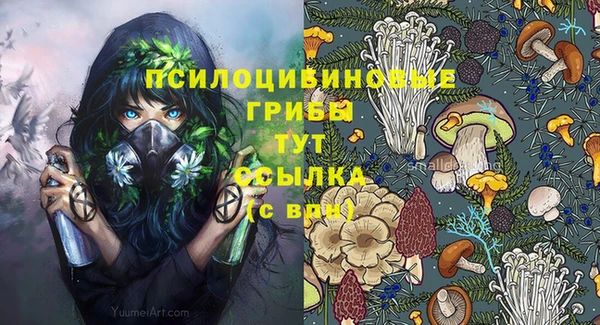 PSILOCYBIN Дмитров