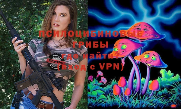 гашишное масло Дмитровск