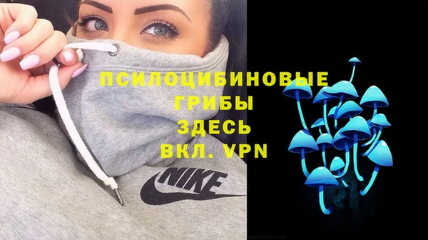 гашишное масло Дмитровск