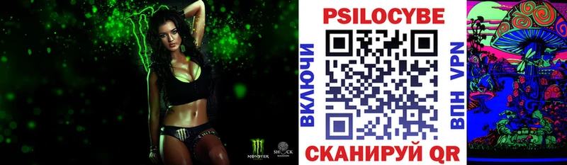 Купить закладки Тайшет Псилоцибиновые грибы Psilocybe